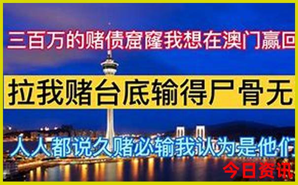 南山一日游最佳方案