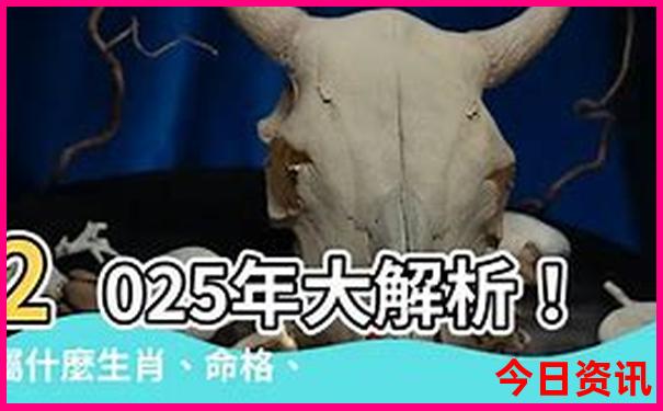 传奇盒子排行榜前十名的