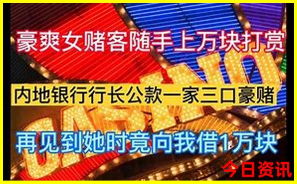 正版资料免费资料大全软件下载